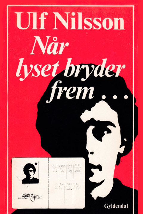 Omslag: Når lyset bryder frem...