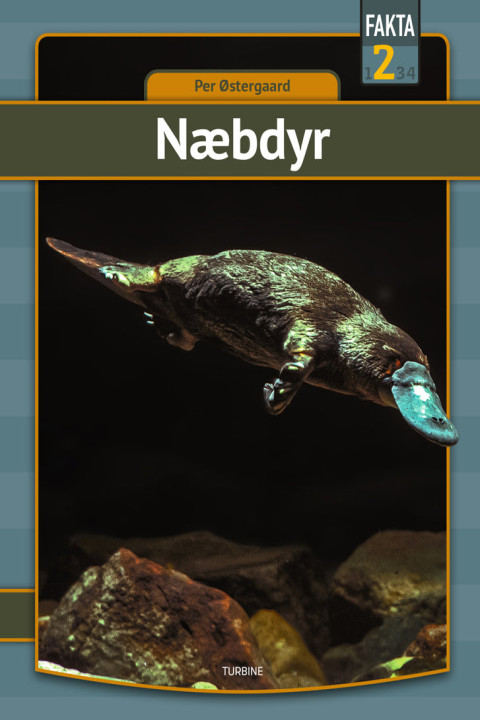 Omslag: Næbdyr
