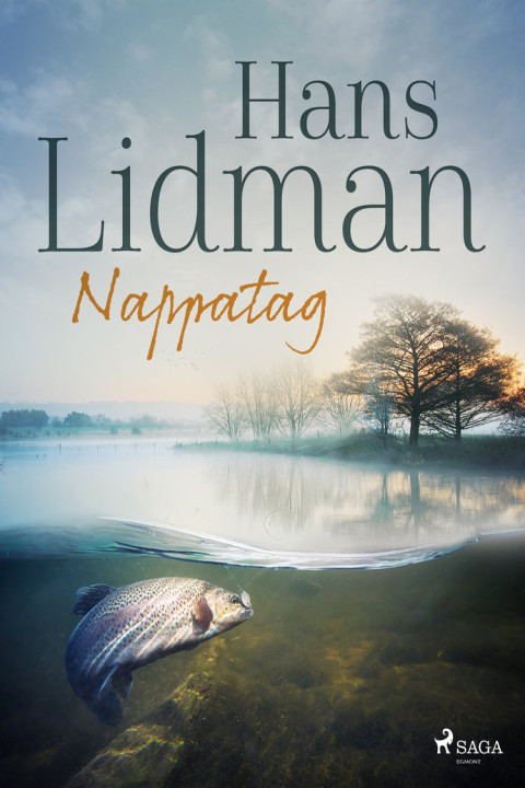 Omslag: Nappatag