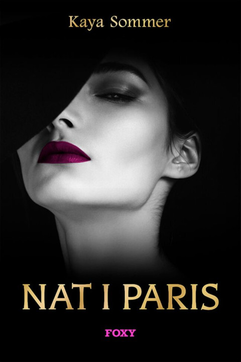 Omslag: Nat i Paris