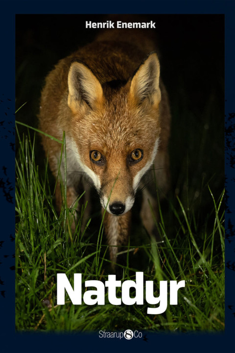 Omslag: Natdyr