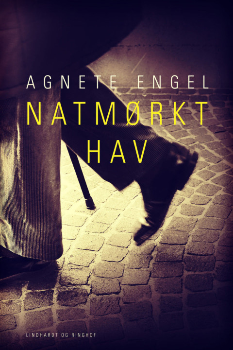 Omslag: Natmørkt hav