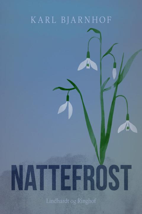 Omslag: Nattefrost