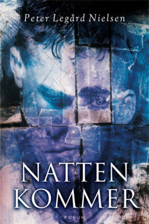 Omslag: Natten kommer