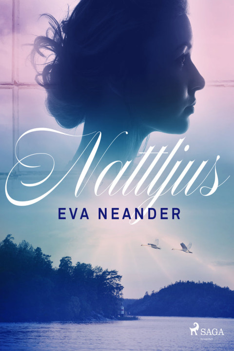 Omslag: Nattljus