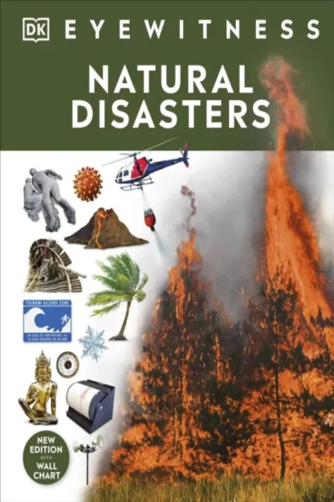 Omslag: Natural Disasters
