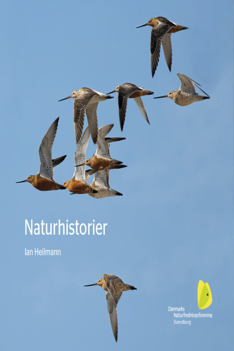 Omslag: Naturhistorier