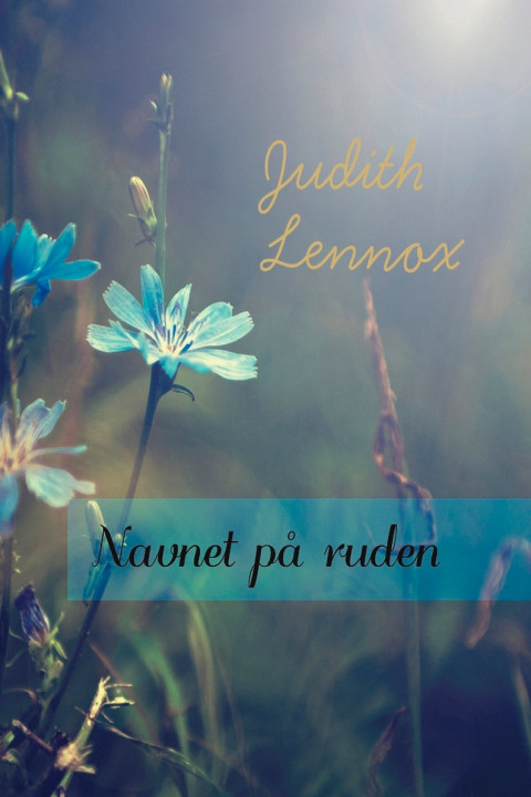 Omslag: Navnet på ruden