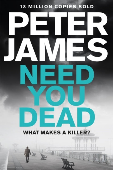 Omslag: Need You Dead