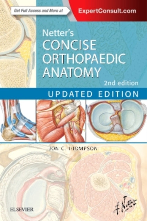 Omslag: Netter s Concise Orthopaedic Anatomy, Updated Edition