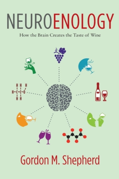 Omslag: Neuroenology