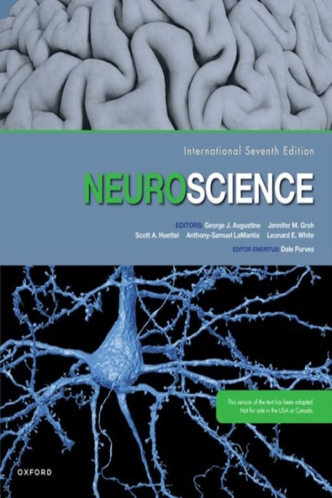 Omslag: Neuroscience