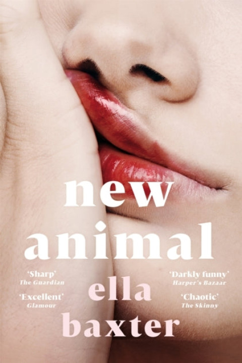 Omslag: New Animal