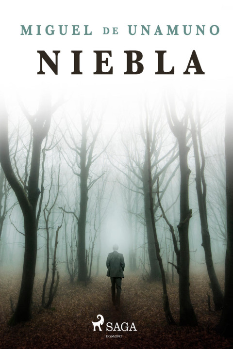 Omslag: Niebla