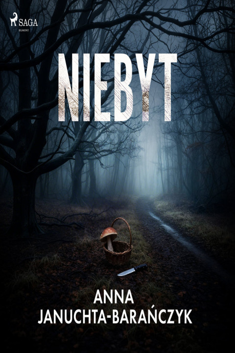Omslag: Niebyt