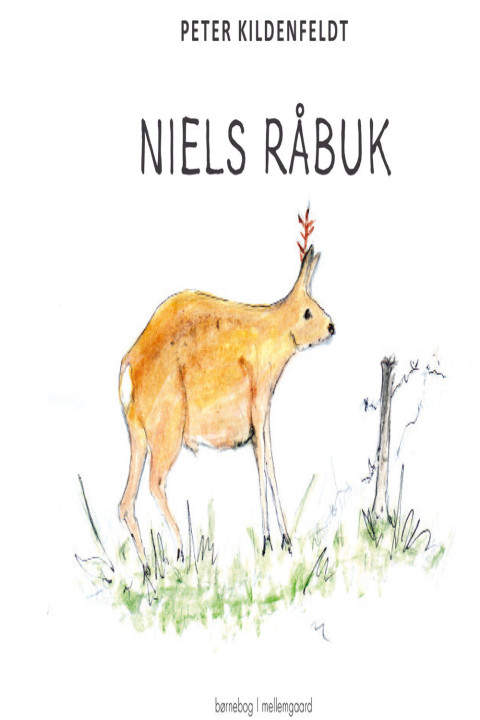 Omslag: NIELS RÅBUK