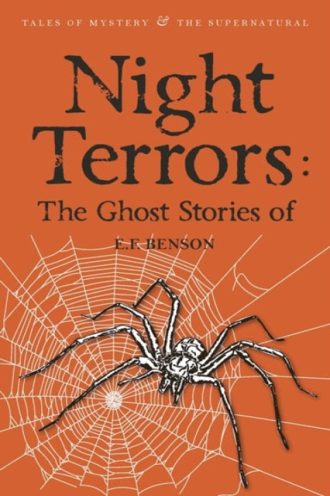 Omslag: Night Terrors