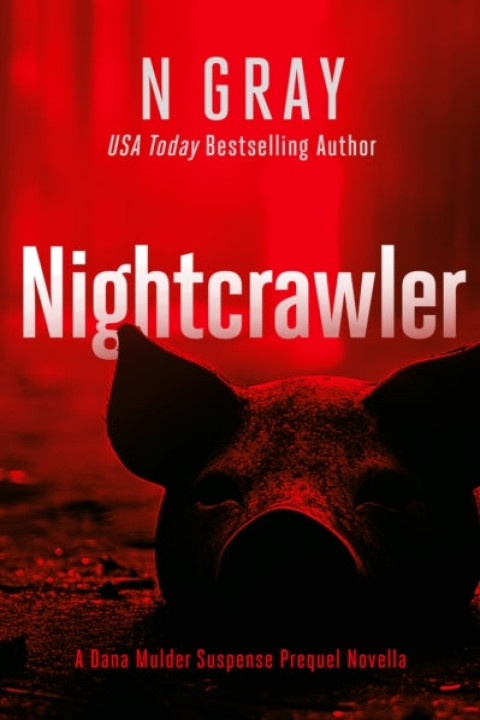 Omslag: Nightcrawler