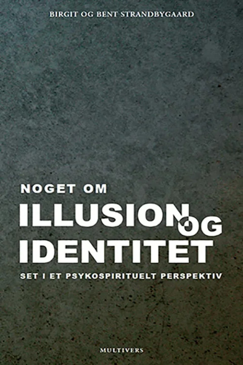 Omslag: Noget om illusion og identitet