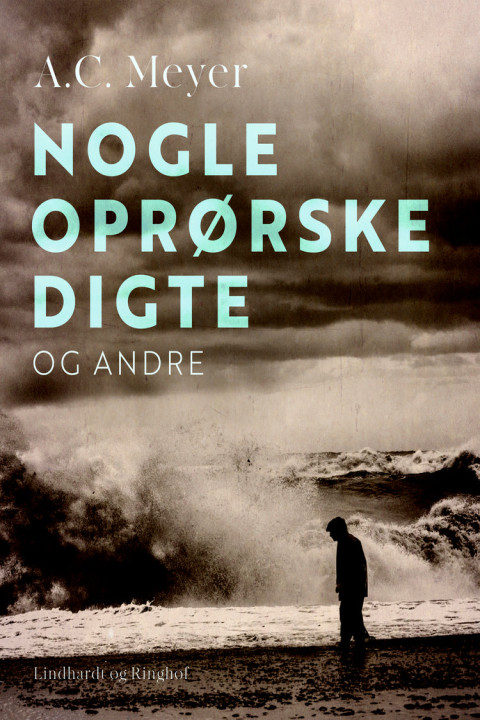 Omslag: Nogle oprørske digte og andre