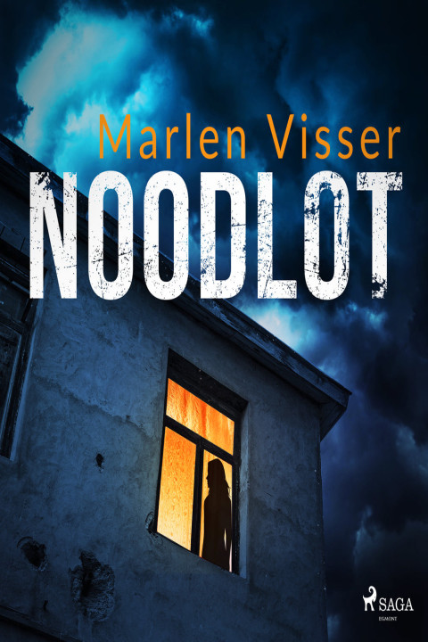 Omslag: Noodlot