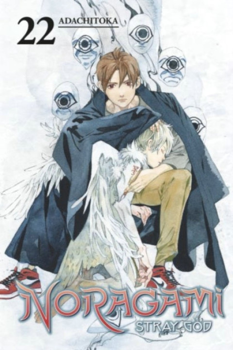 Omslag: Noragami Stray God 22