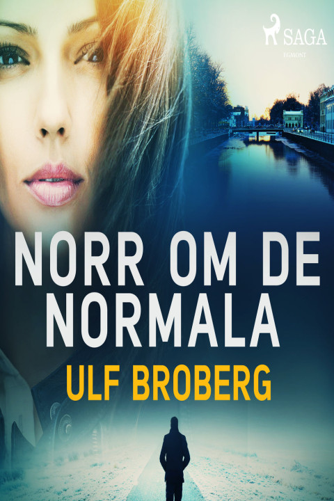 Omslag: Norr om de normala