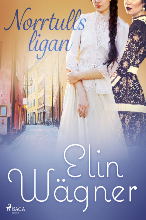 Omslag: Norrtullsligan