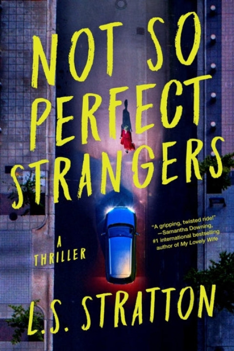 Omslag: Not So Perfect Strangers