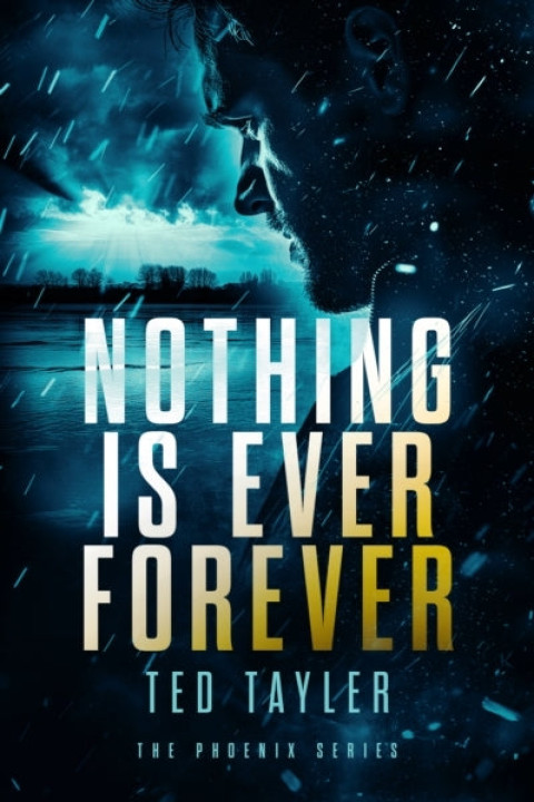 Omslag: Nothing Is Ever Forever