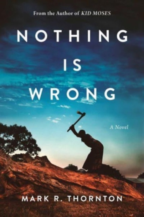 Omslag: Nothing Is Wrong A Novel