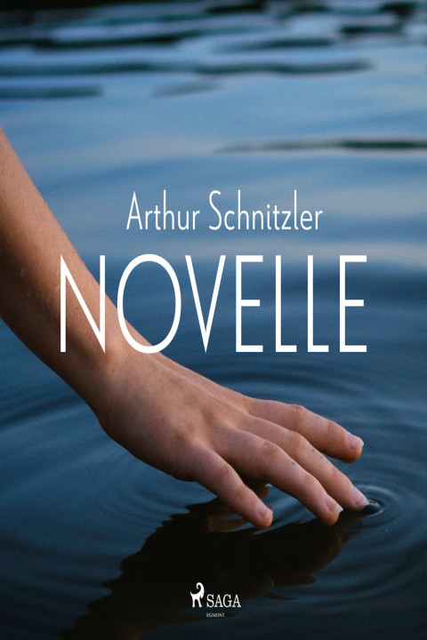 Omslag: Novelle
