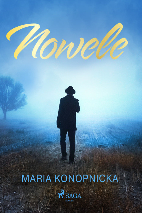 Omslag: Nowele