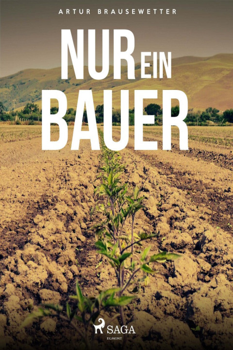 Omslag: Nur ein Bauer