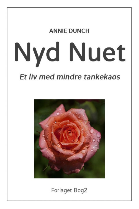 Omslag: Nyd nuet