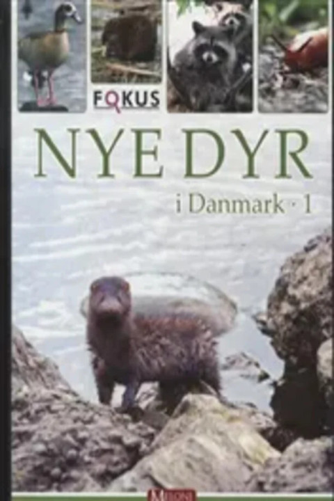 Omslag: Nye dyr i Danmark 1