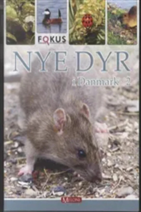 Omslag: Nye dyr i Danmark 2