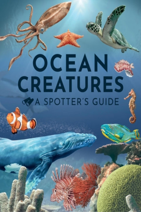 Omslag: Ocean Creatures A Spotter s Guide