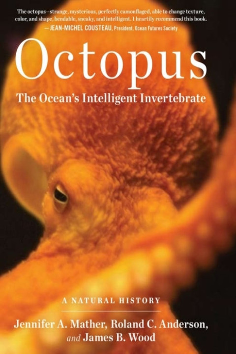 Omslag: Octopus
