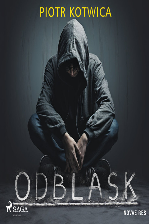 Omslag: Odblask