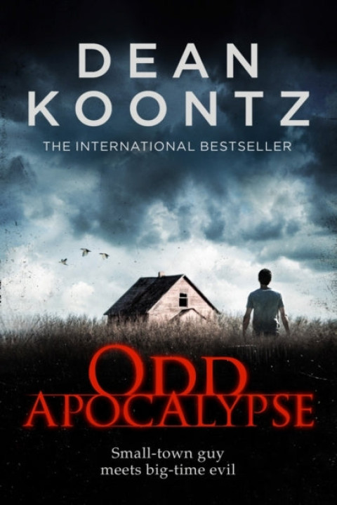 Omslag: Odd Apocalypse