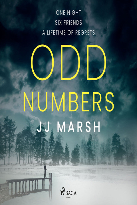 Omslag: Odd Numbers
