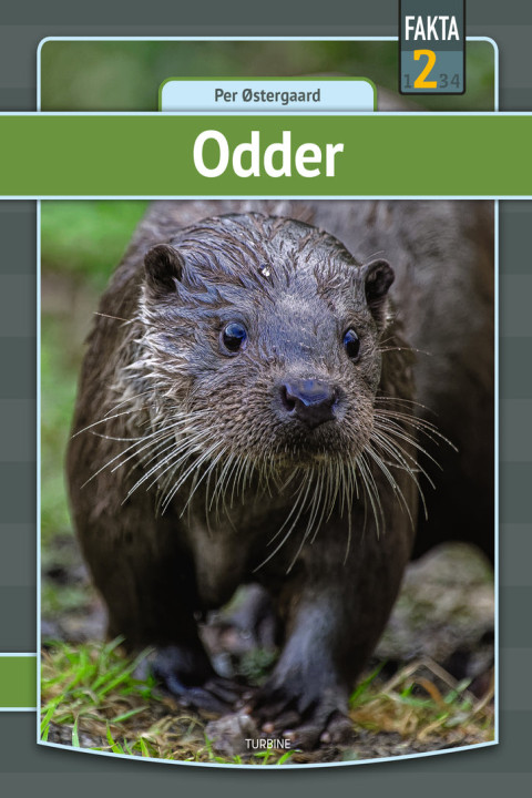 Omslag: Odder