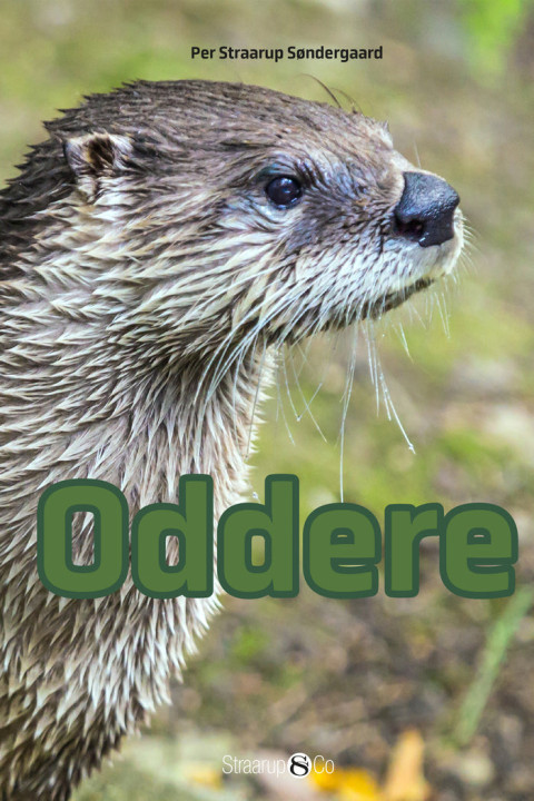 Omslag: Oddere