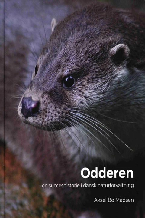 Omslag: Odderen