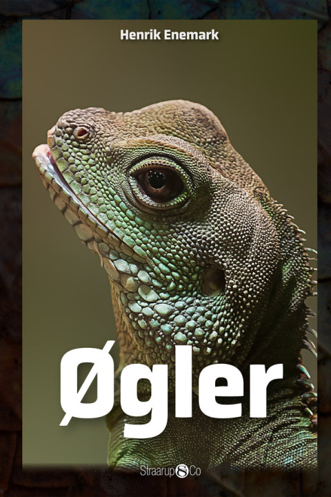 Omslag: Øgler