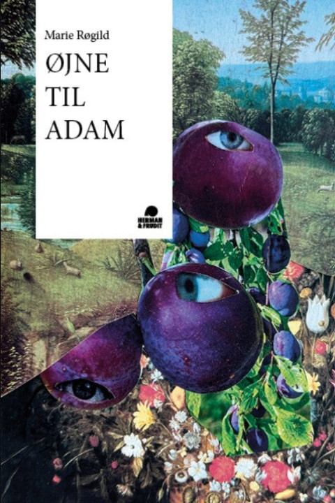 Omslag: Øjne til Adam