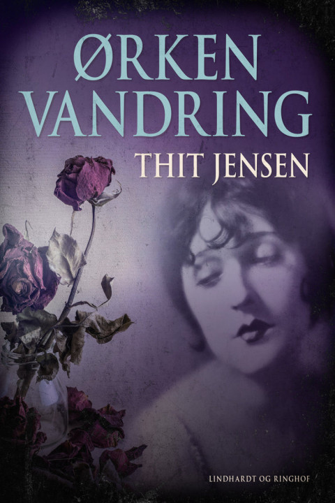 Omslag: Ørkenvandring