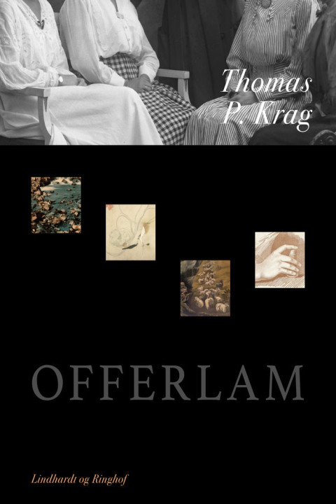 Omslag: Offerlam