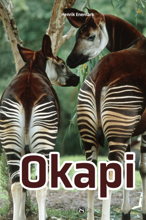 Omslag: Okapi